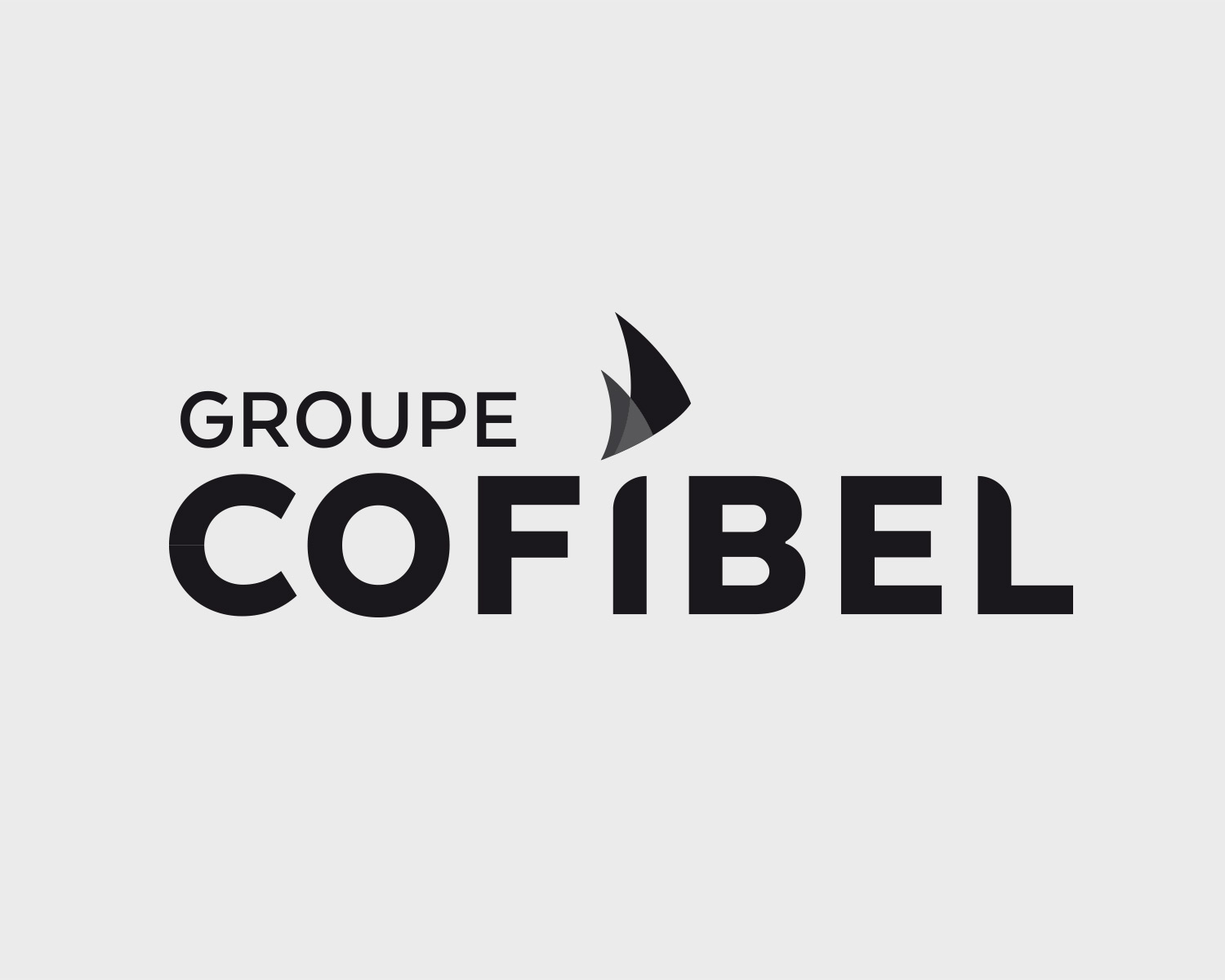 identite visuelle cofibel portefolio logo arnaud chauvel graphiste