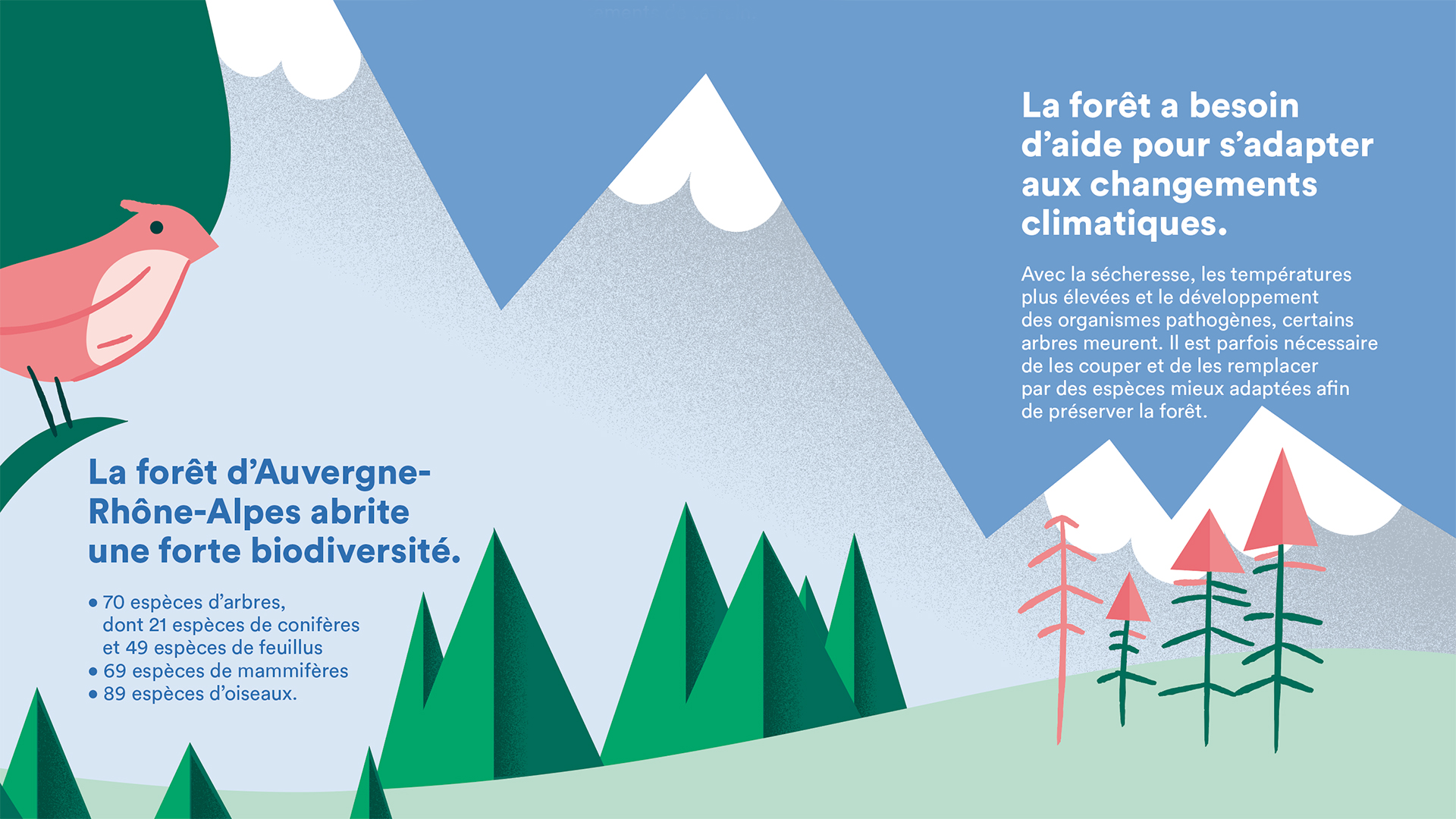 DRAAF Region Auvergne Rhone Alpes Exposition design information balade foret biodiversite