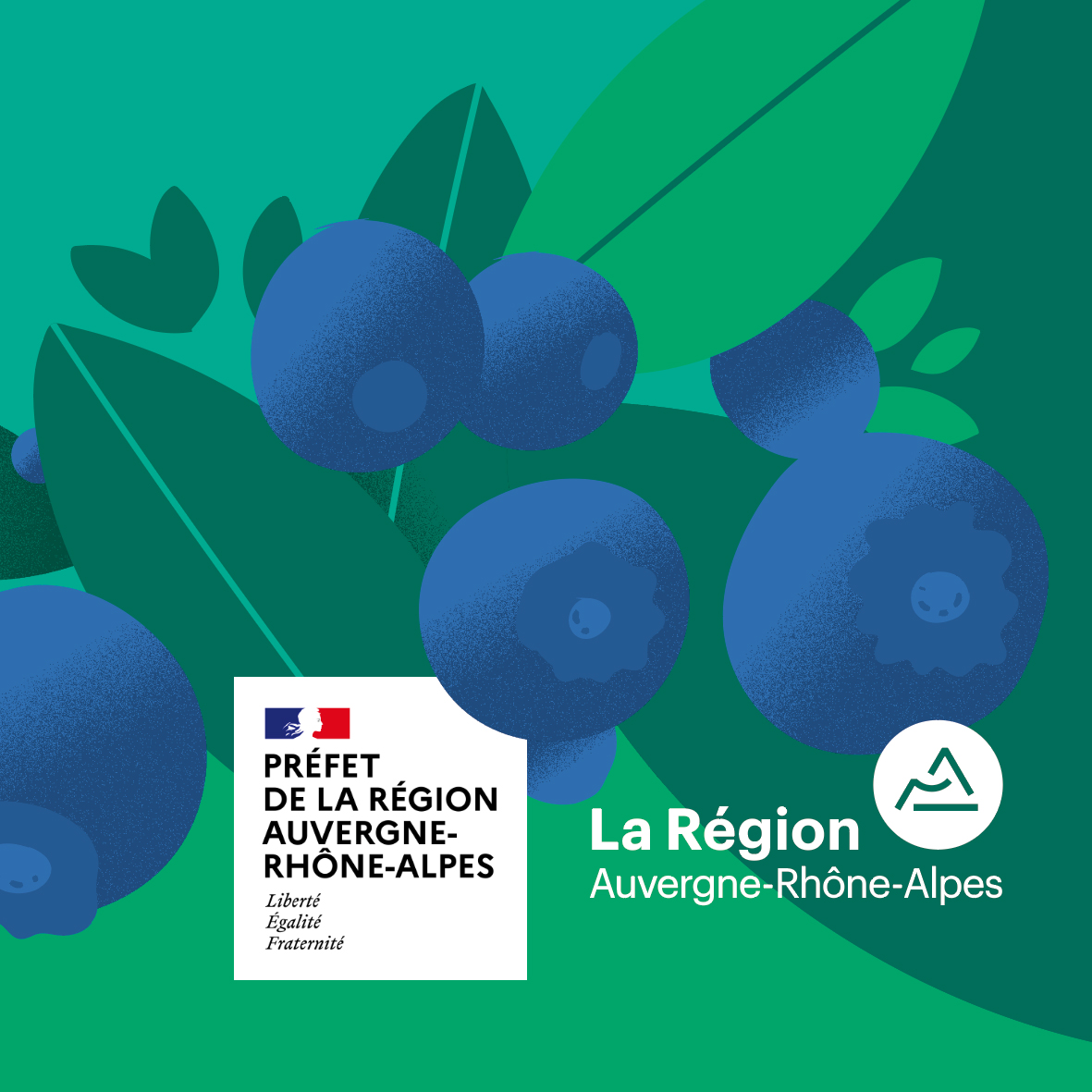 DRAAF Region Auvergne Rhone Alpes Exposition design information balade foret clients