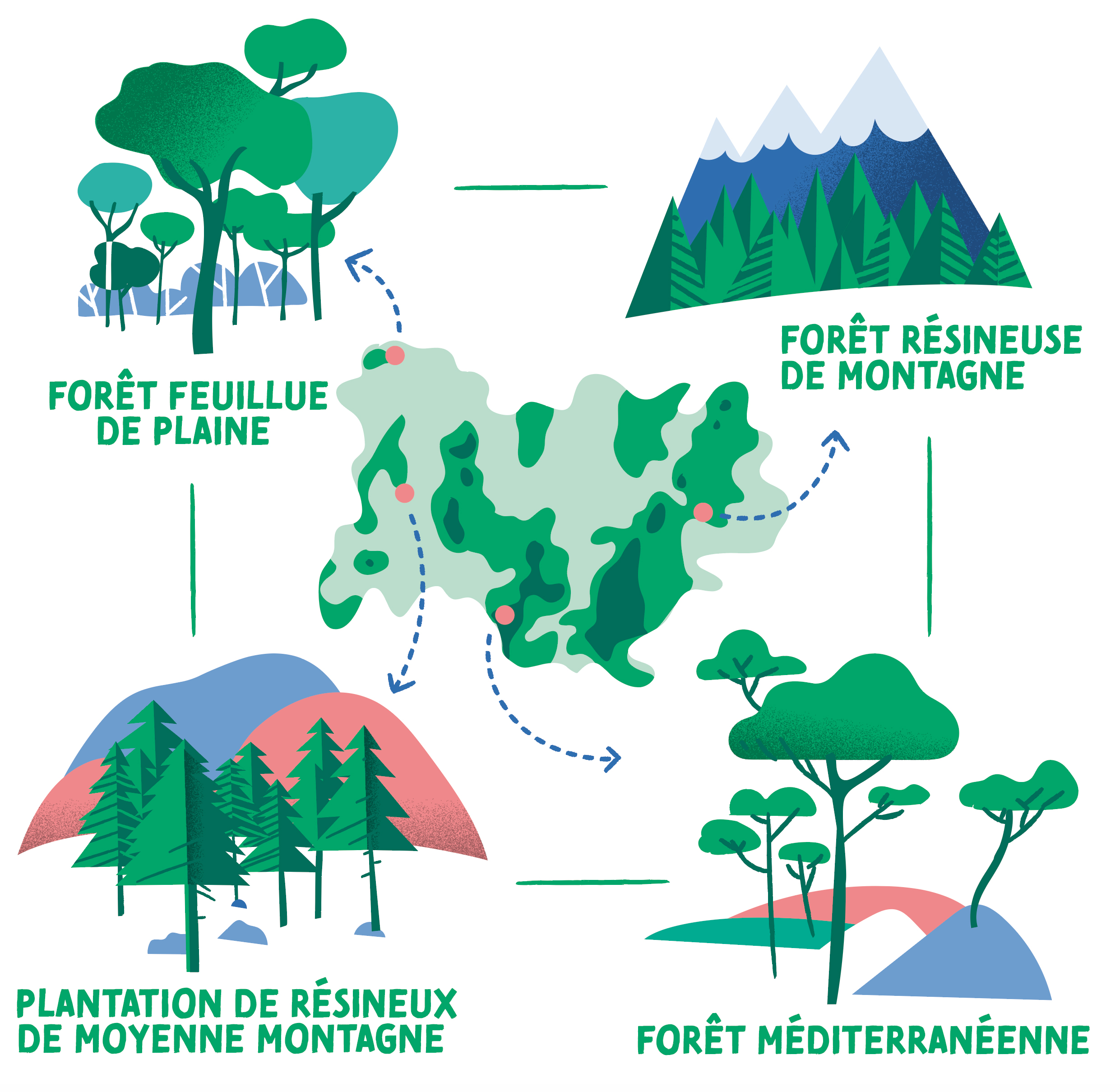 DRAAF Region Auvergne Rhone Alpes Exposition design information balade foret schema