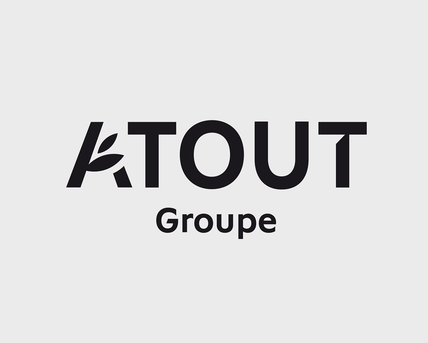 identite visuelle atout groupe portefolio logo arnaud chauvel graphiste