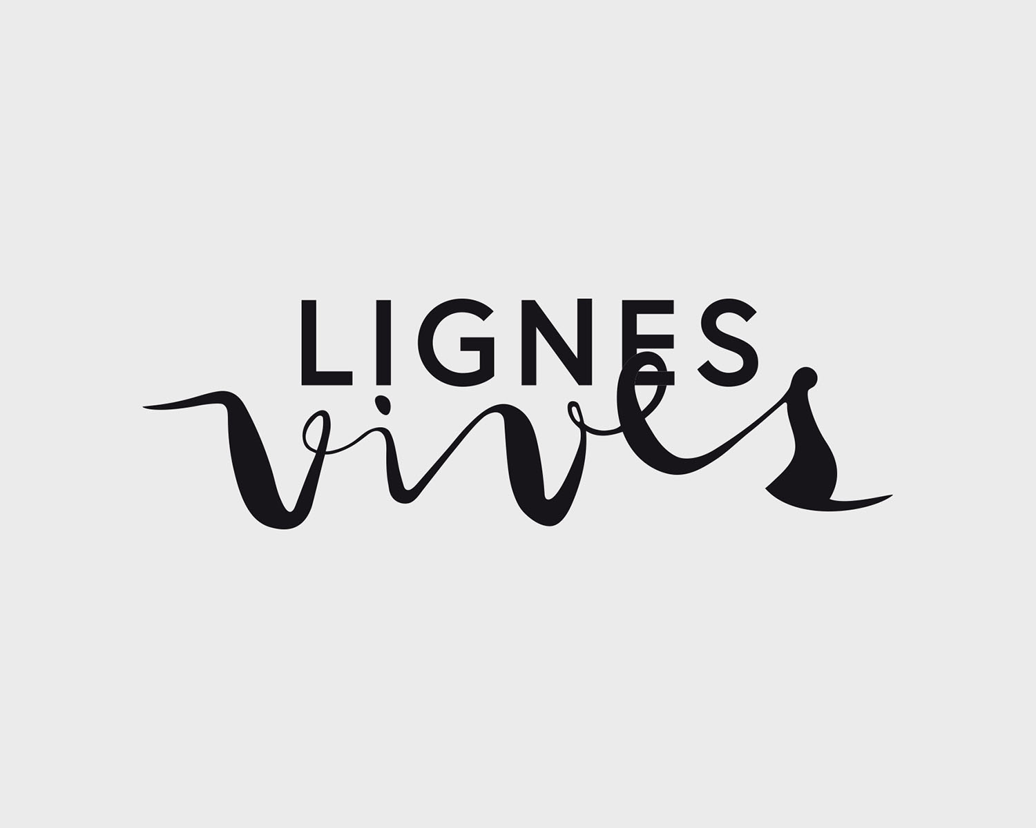 identite visuelle lignes vives portefolio logo arnaud chauvel graphiste