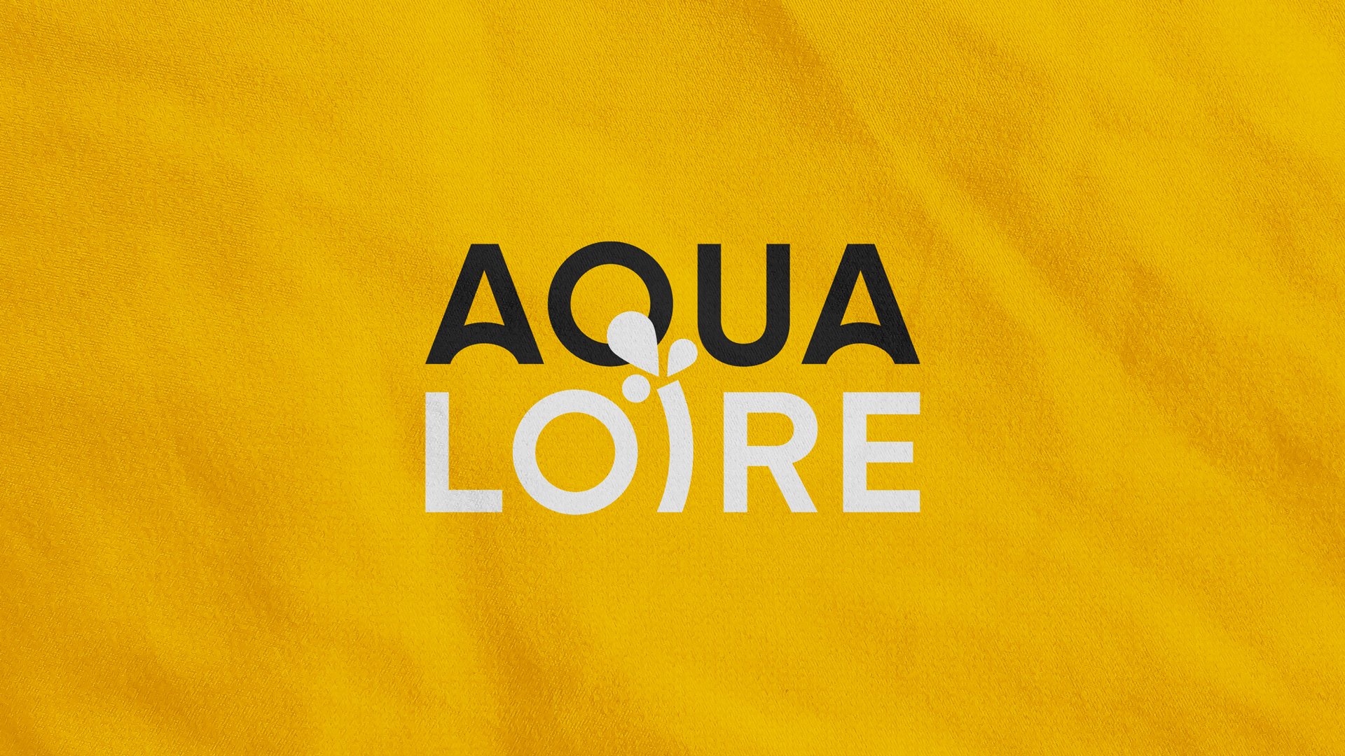 identite visuelle aqualoire Logo de complexe sportif arnaud chauvel graphiste