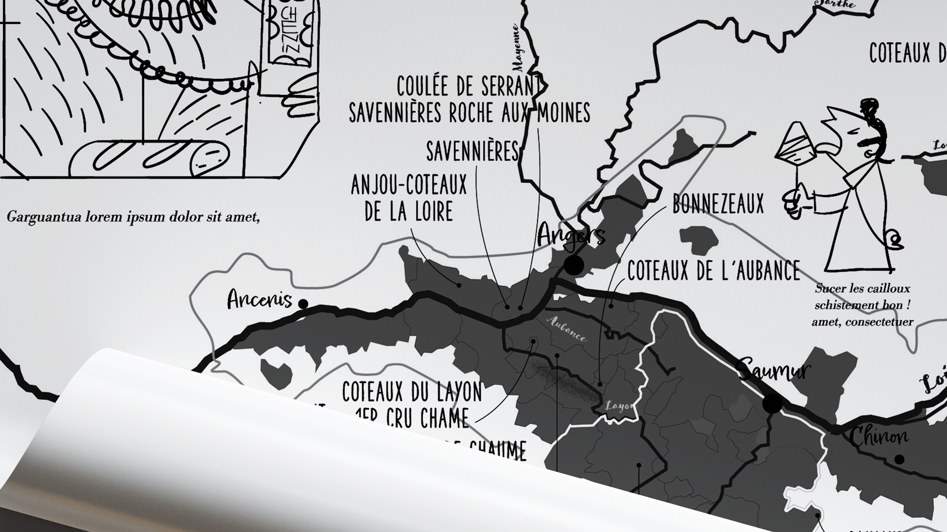 Federation Viticole Anjou Saumur fandechenin cartographie vignoble vin de loire croquis