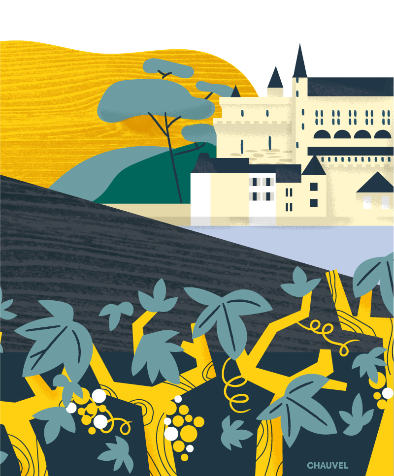 23 045 fandechenin Motion anim #01 Touraine vignoble 23 045 fandechenin Motion anim #01 Touraine vignoble