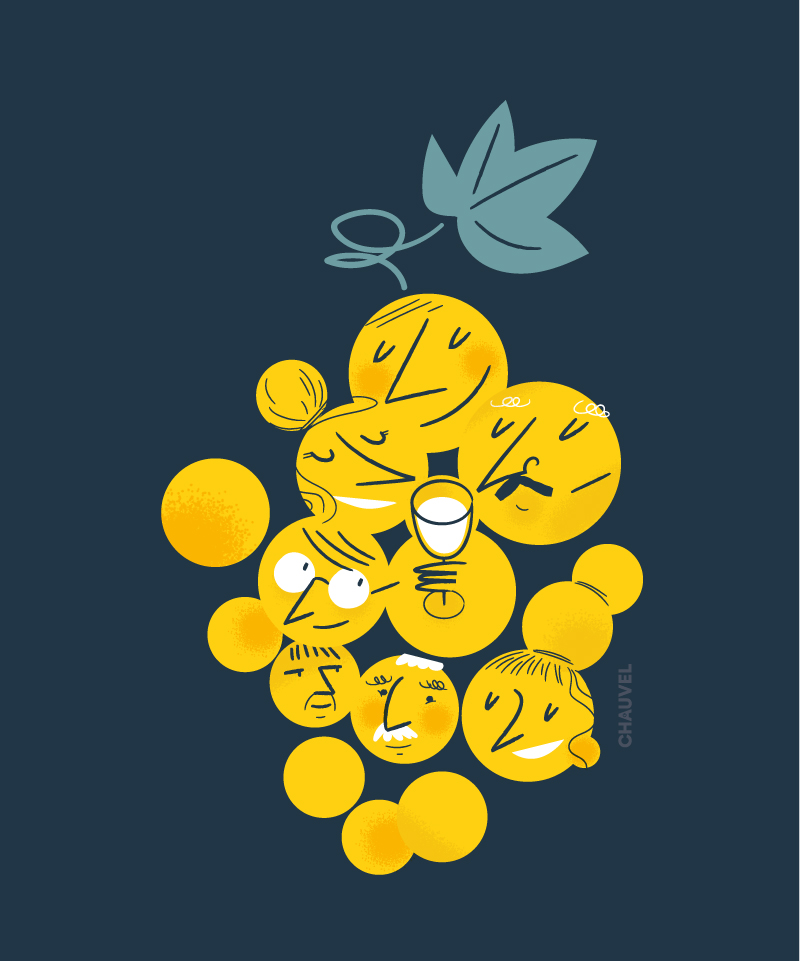 23 045 fandechenin Motion grappe 23 045 fandechenin Motion grappe