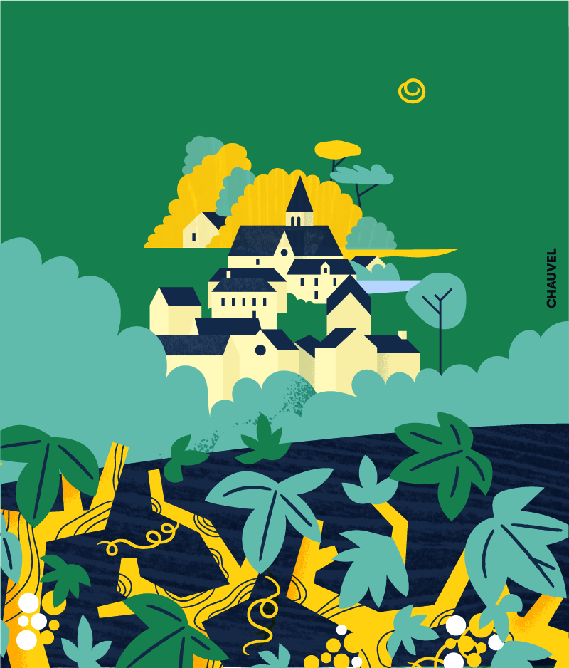 Motion coteauxLoir #04 vignoble Motion coteauxLoir #04 vignoble